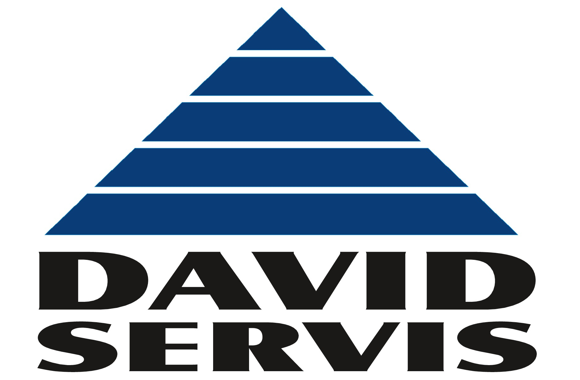 DAVID SERVIS